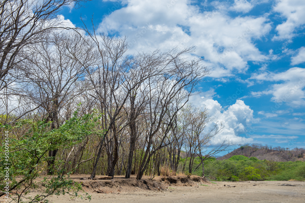 Looking the sea in Costa Rica, Papagayo gulf