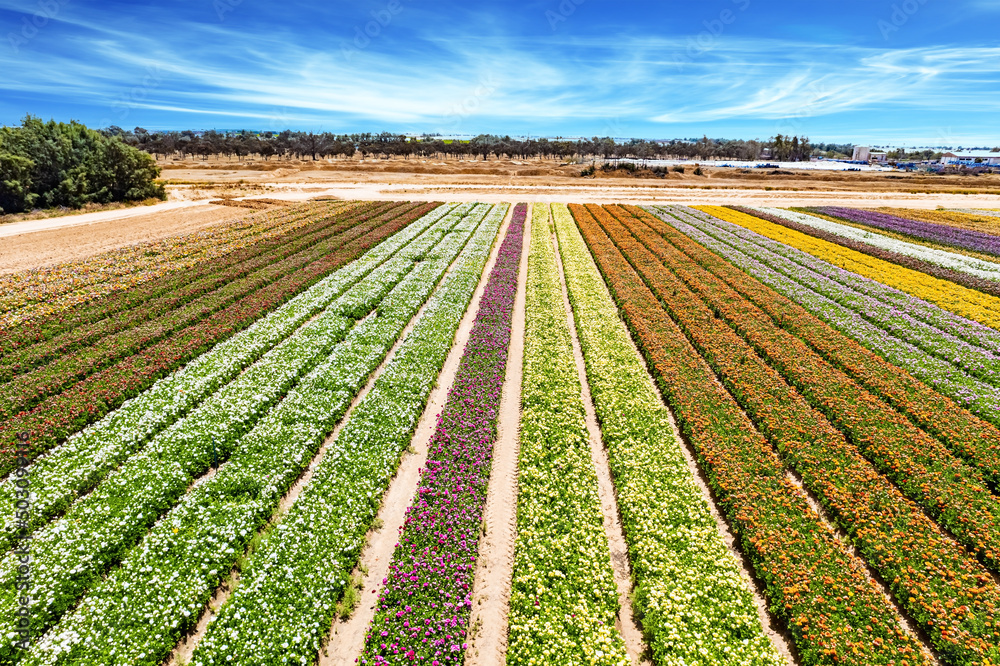 The photos taken by drone. The photos taken by drone.