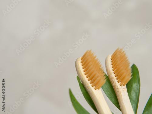 Natural bamboo toothbrushes close up. dental care  plastic free concept. Copy space for text