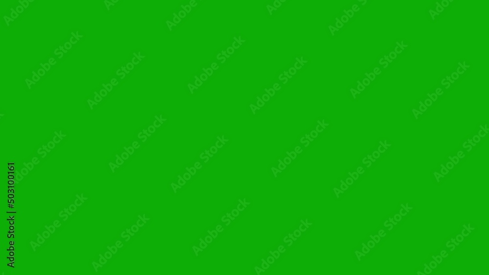 A set of lanyards and badges, Templates for design presentations green screen. vector illustration. A set of lanyards and badges, Templates for design presentations green screen. vector illustration.