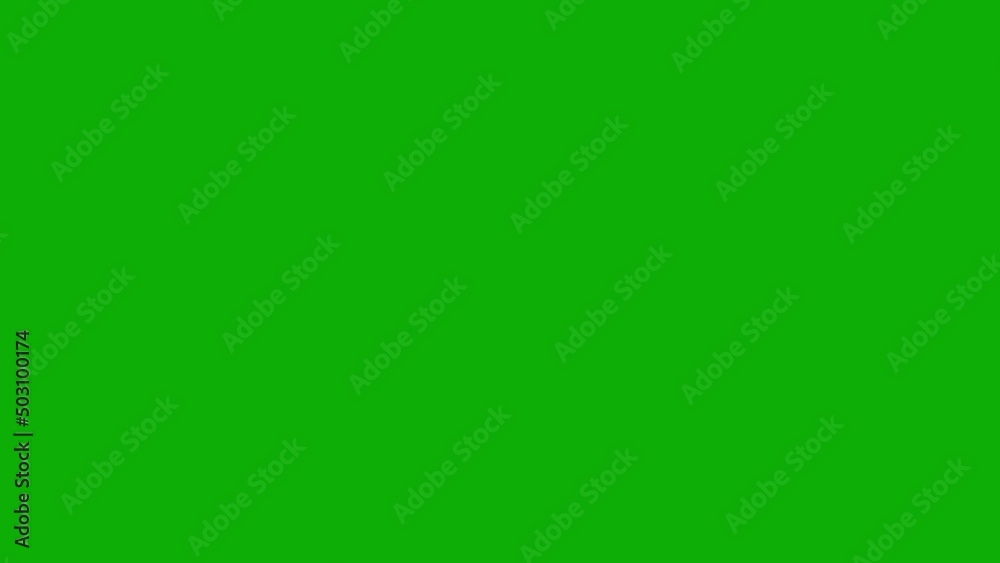 A set of lanyards and badges, Templates for design presentations green screen. vector illustration. A set of lanyards and badges, Templates for design presentations green screen. vector illustration.