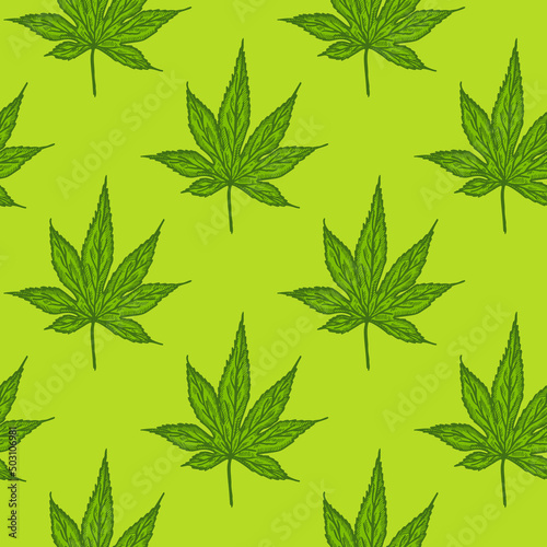 Leaves maple canadian engraved seamless pattern. Vintage background botanical leaf cannabis in hand drawn style.