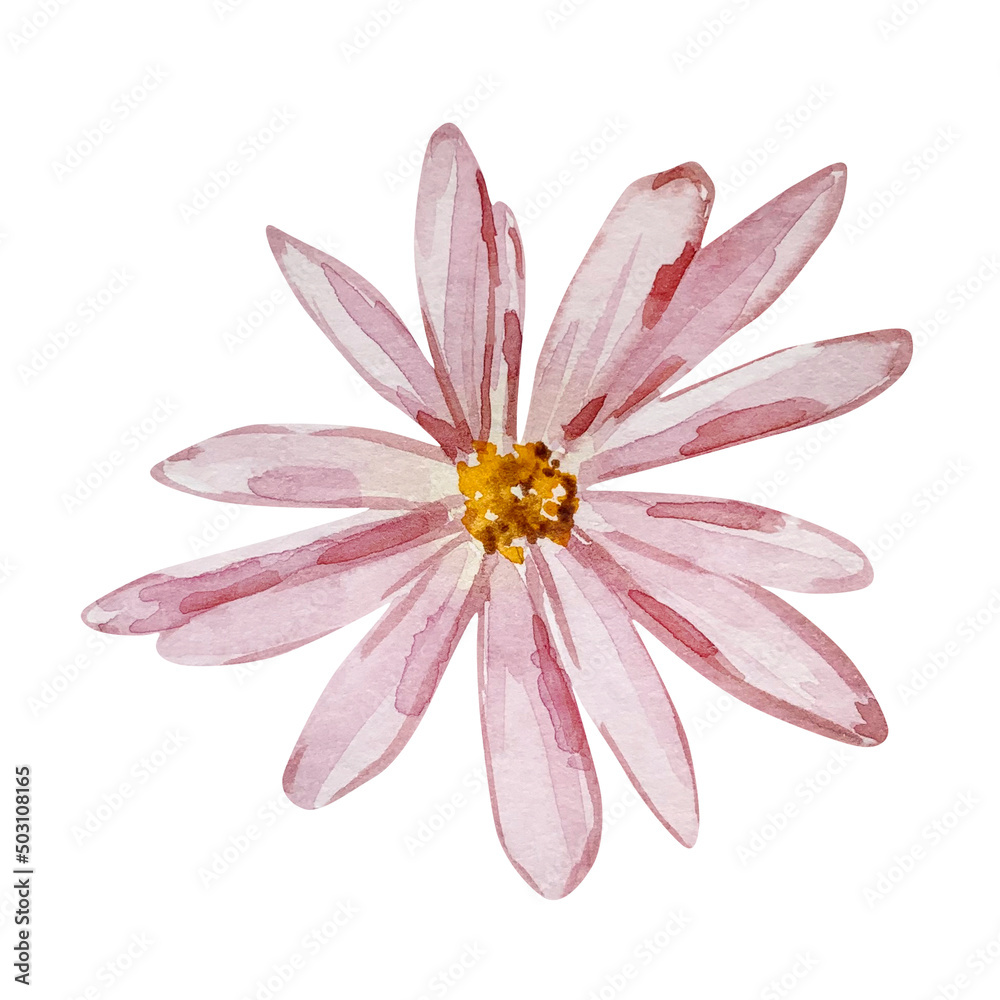 Watercolor garden pink flower Watercolor garden pink flower