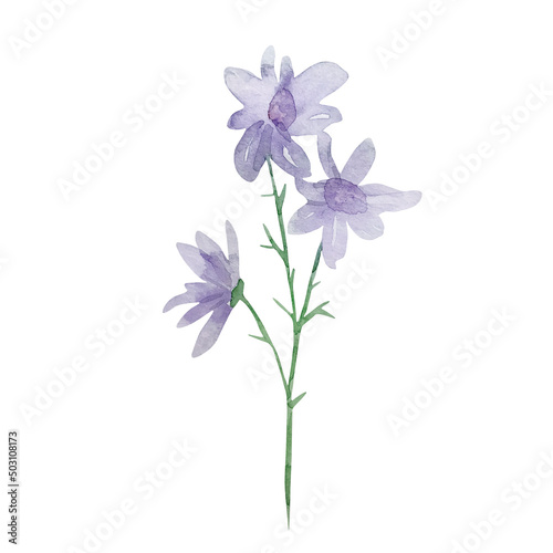 Watercolor garden branch with purple  flower..