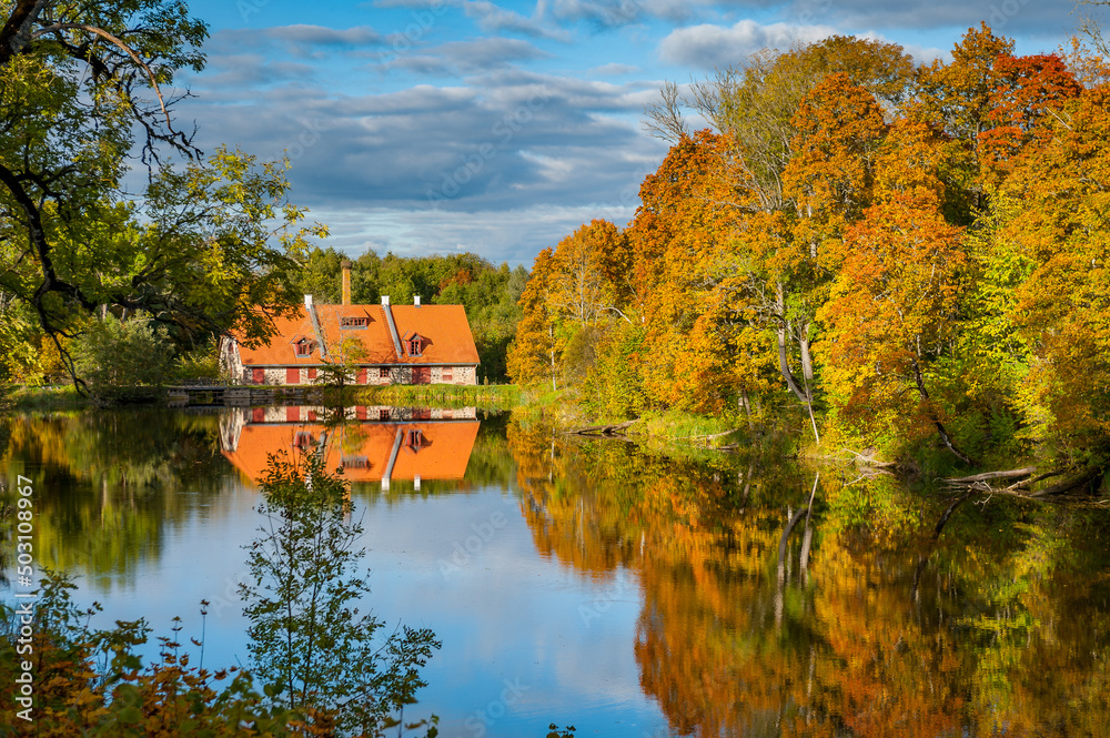 Watermill reflected in the mill pond and surrounded by autumn forest. Historic watermill in Lahmuse mansion, Estonia.