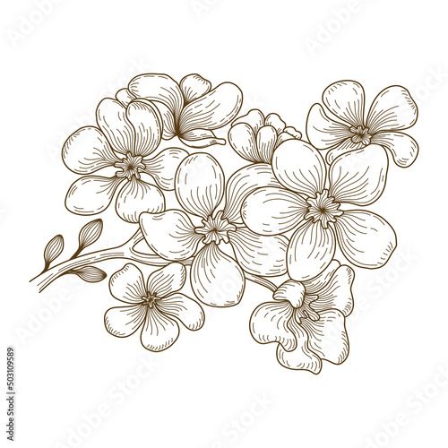 Vector floral line art illustration designed in brown tone doodle style on white background for decorating cards, wedding cards, scrapbooks, covers, clothing patterns and more 