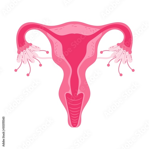 Women health Uterus Floral Ovary reproductive system Concept.