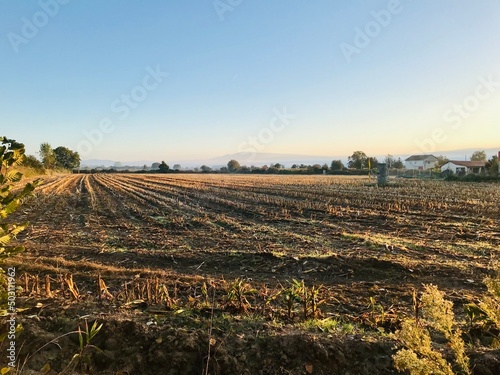 Fototapeta Naklejka Na Ścianę i Meble -  plowed field in autumn