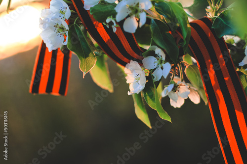 St. George’s ribbon on a spring blooming pear tree on May 9 Victory Day. Patriotic war in Russia. Victory Day background. photo