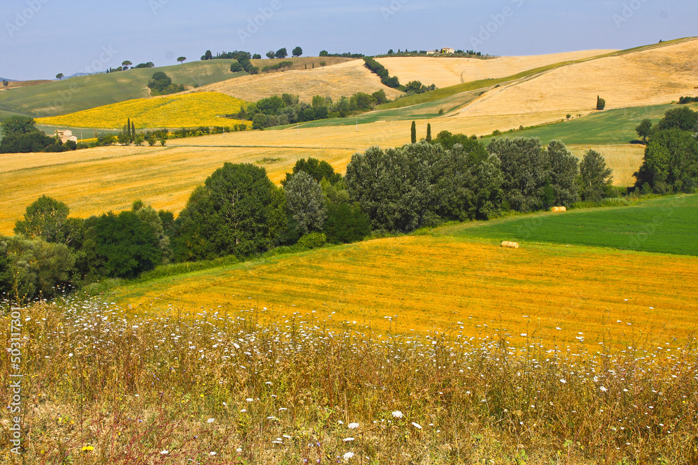 Val d'Orcia, Toscana, Italy. Panorami