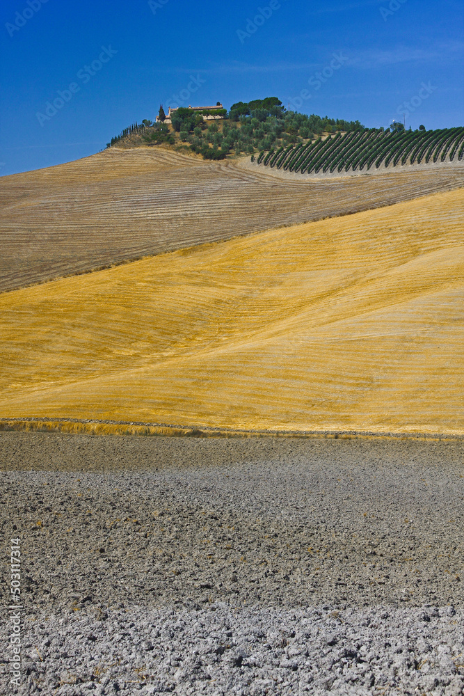 Naklejka premium Val d'Orcia, Toscana, Italy. Panorami
