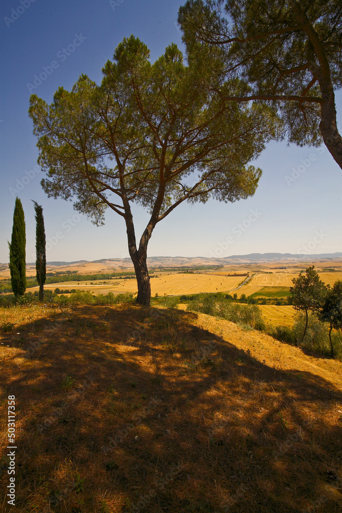 Val d'Orcia, Toscana, Italy. Panorami