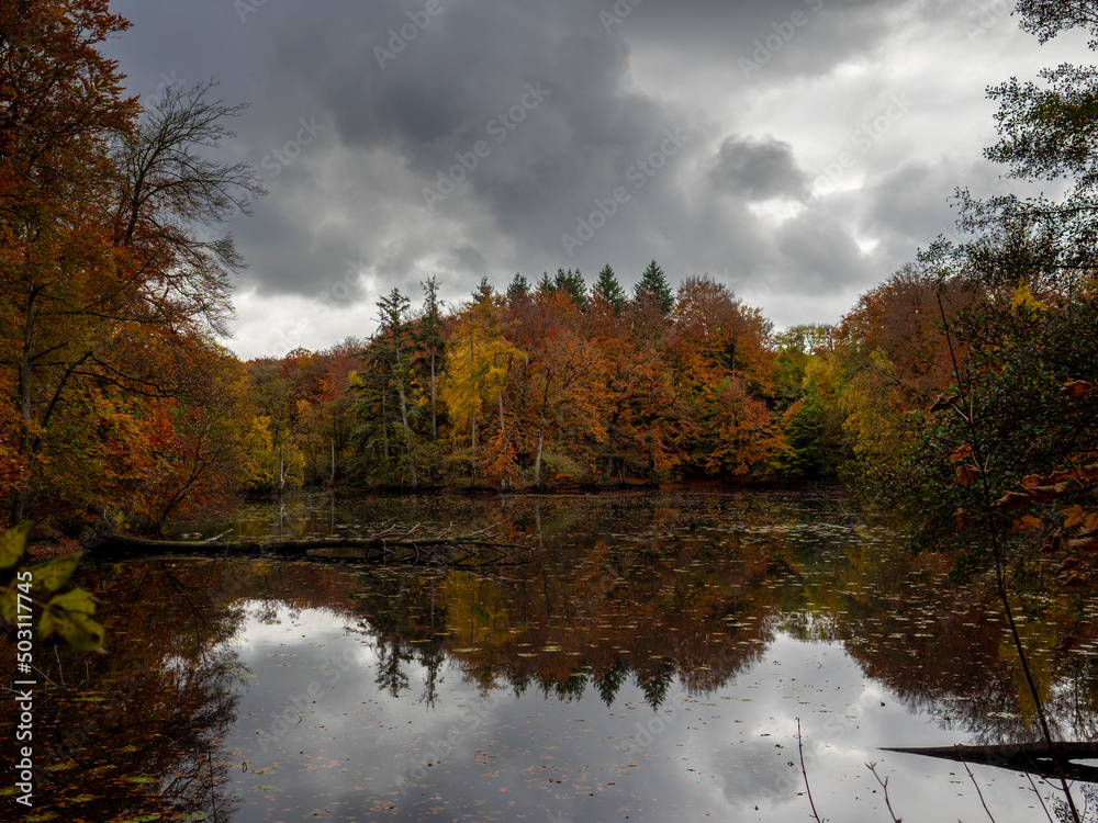 Fototapeta premium OLYMPUS DIGITAL CAMERA