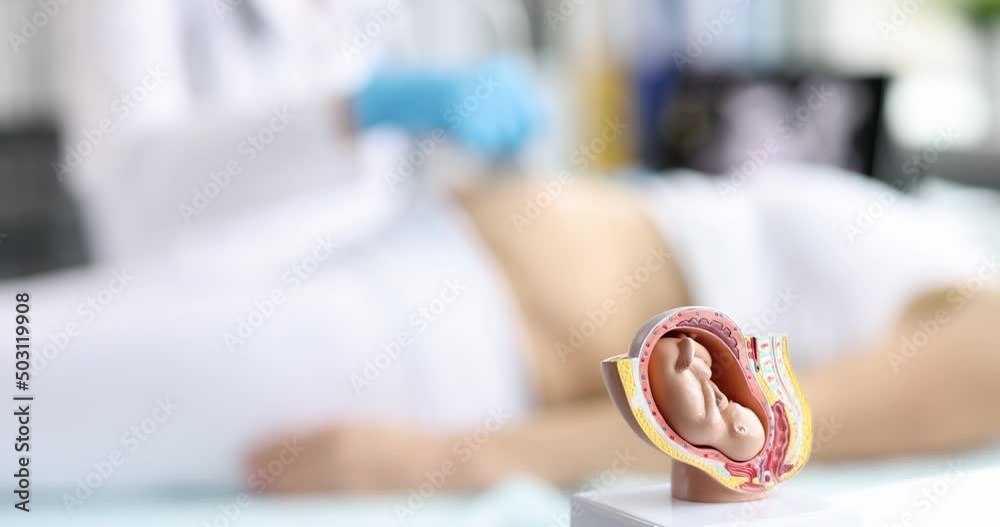 Doctor conducts ultrasound examination of pregnant woman in clinic closeup