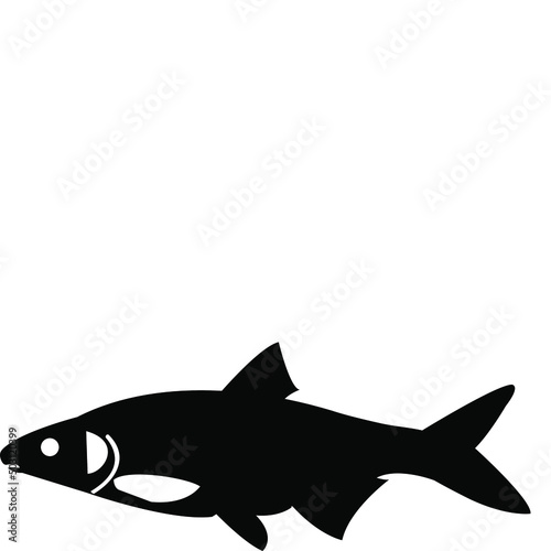Fish Eps Vector animal silhouette