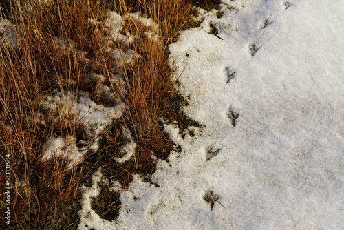 Snowy winter ground in Rakke, Norway photo