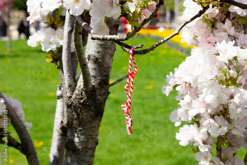 Closeup of Martenitsa (мартеница) traditional decoration in Bulgaria and Macedonia, adornment, made of white and red yarn, symbol of spring and resurgent nature, tied to blossomed tree to be healthy photo