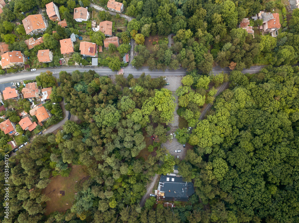 Obraz na płótnie Aerial view of green nature in Sofia, Bulgaria w salonie