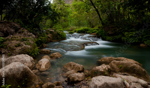 Fototapeta Naklejka Na Ścianę i Meble -  River water stream of Micos waterfall in Mexico