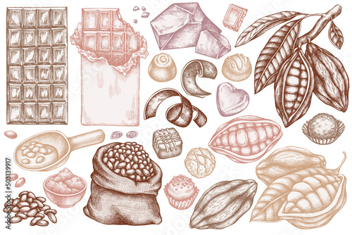 Vector set of hand drawn pastel cocoa beans, cocoa, chocolate, chocolate candies