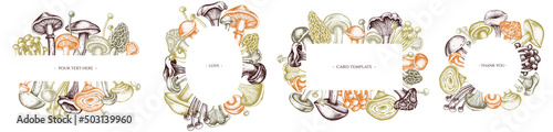 Frames with pastel oyster mushroom, champignon, honey agaric, etc.