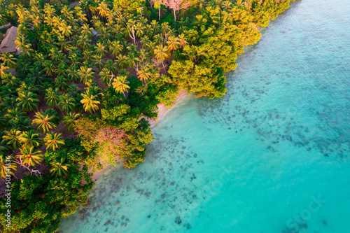 aerial drone shot panning up from beautiful blue green water filled with waves, rocks and sea weed to reveal green lush coconut trees and a sandy beach in havelock swaraj dweep andaman photo