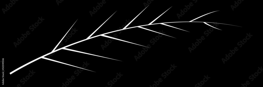 Vector drawing of a thorny branch, a branch with thorns on a black background.