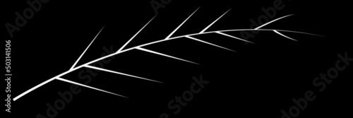 Vector drawing of a thorny branch, a branch with thorns on a black background.