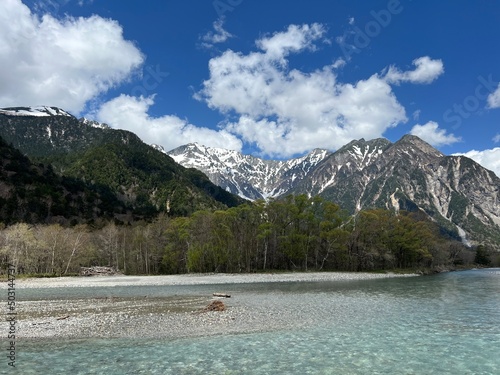 上高地 梓川 穂高連峰 ケショウヤナギ 長野県 photo