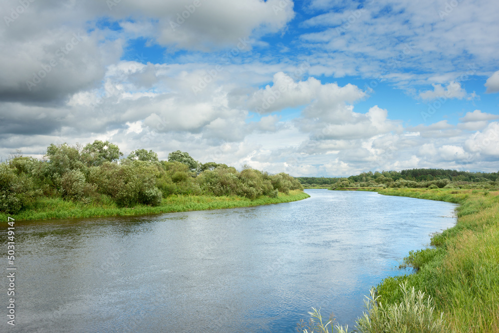 The nature of Belarus - a calm summer landscape on the banks of the Berezina River