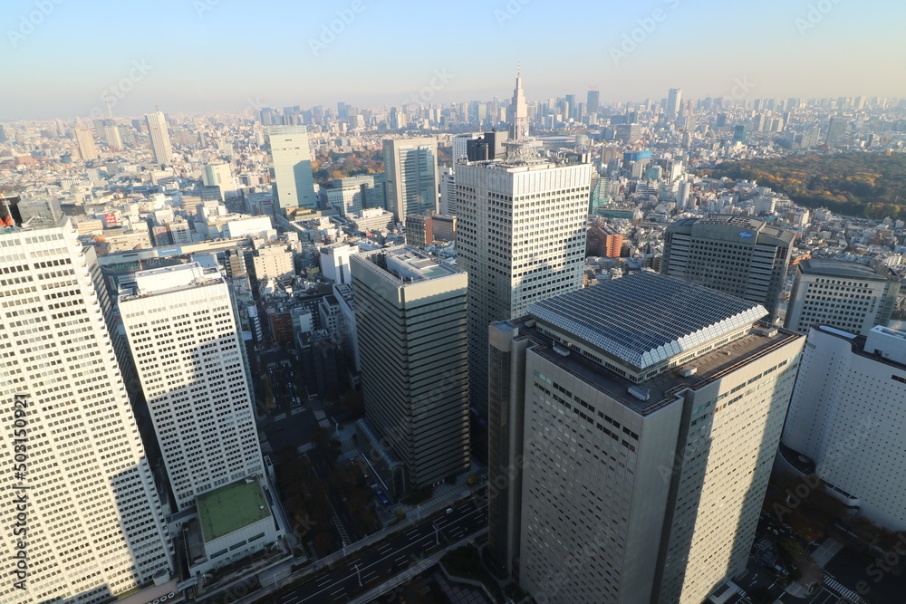 Fototapeta premium 東京都庁の展望室からの都内の眺め