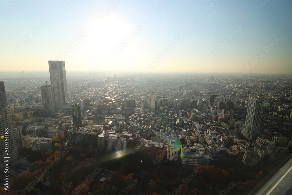 東京都庁の展望室からの都内の眺め