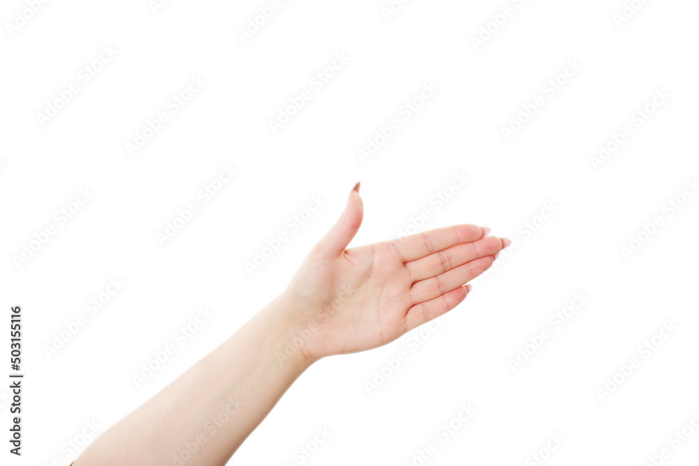 Empty open woman hand Empty open woman hand
