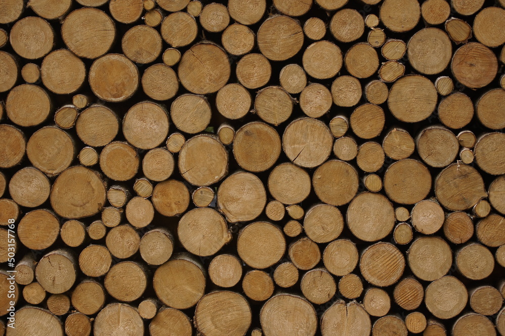 stacked firewood stacked firewood