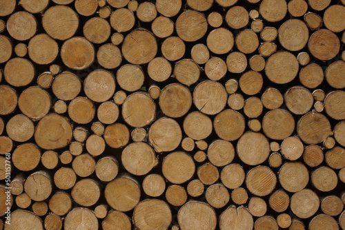 stacked firewood