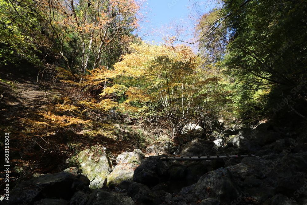 秋の埼玉県秩父の両神山の登山 秋の埼玉県秩父の両神山の登山