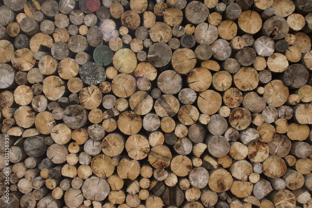 stack of firewood stack of firewood