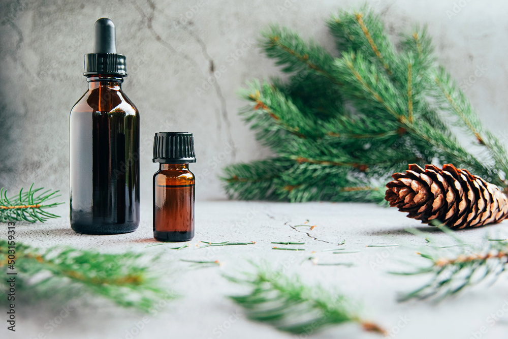 Fototapeta premium Front view of glass bottles of pine essential oil with fresh fir tree branch over gray background aromatherapy concept.