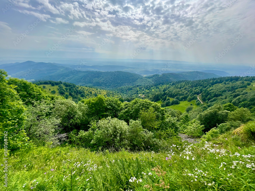 Fototapeta premium Aerial point of view on the magnificent mountains of the green vosges, with its thick forests, its grass, its flowers, on a beautiful summer day