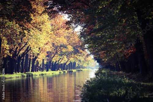 Scenic view of a river surrounded by trees during autumn