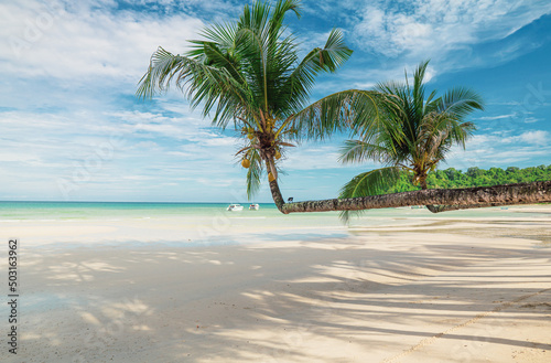 summer landscape with coconut trees in Koh Kood Thailand photo taken on Klong Chao beach