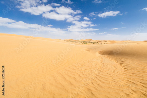 Sandy desert  Beautiful landscape in moroccan desert  maroc