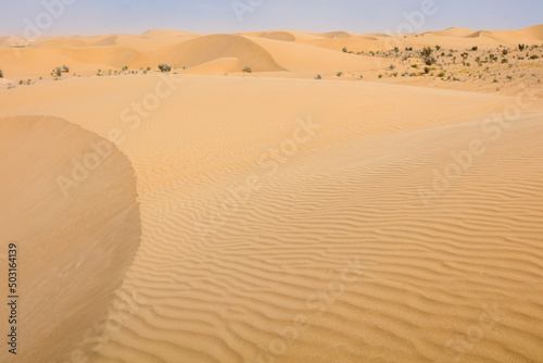 Sandy desert  Beautiful landscape in moroccan desert  maroc