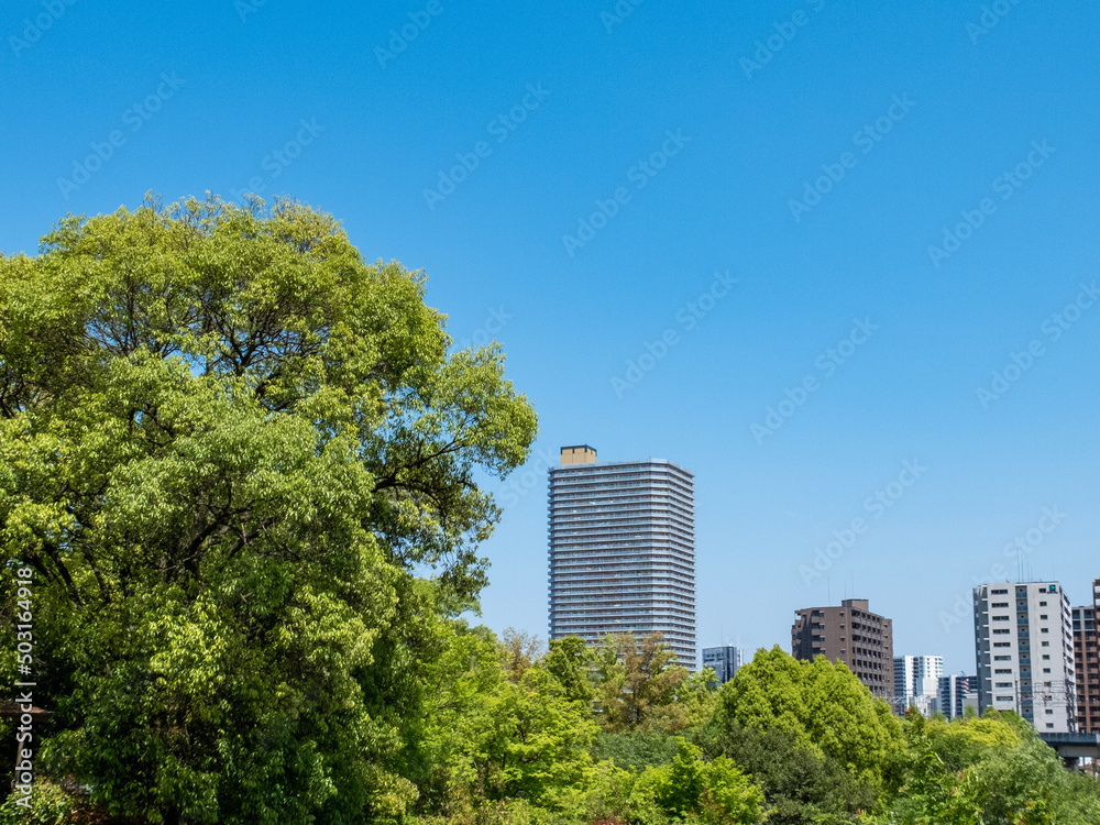 都市と公園の風景　公園の木の向こうに見えるタワーマンション