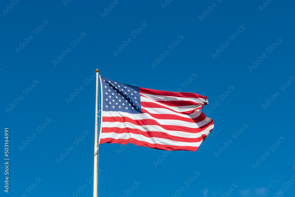 The United States of America flag