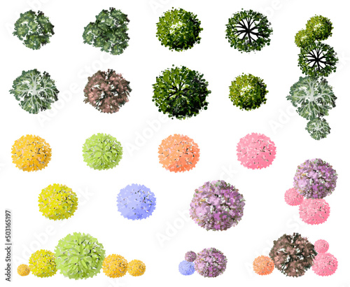  Vector set of tropical green tree and flower top view isolated on white background for landscape plan and architecture drawing, elements for environment and garden,botanical 