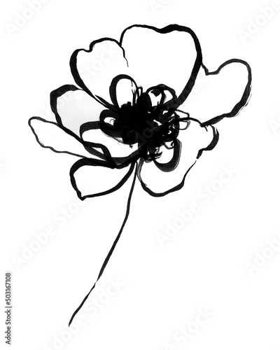Abstract flower hand drawn. Black brush flower silhouette. Ink drawing wild plants, herbs or flowers, monochrome botanical illustration. Poppy, peony.