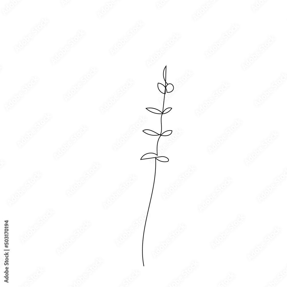 outline one line spring flower doodle handdrawn outline one line spring flower doodle handdrawn
