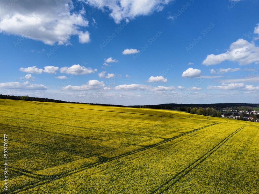 Fotografie Landschaft eines Rapsfeld im Frühling