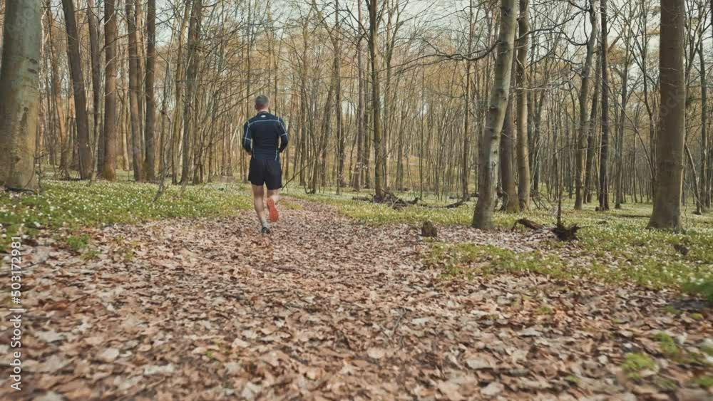 wide 4k slow motion shot of sporty man running in beautiful spring forest. Sport and wellness concept wide 4k slow motion shot of sporty man running in beautiful spring forest. Sport and wellness concept